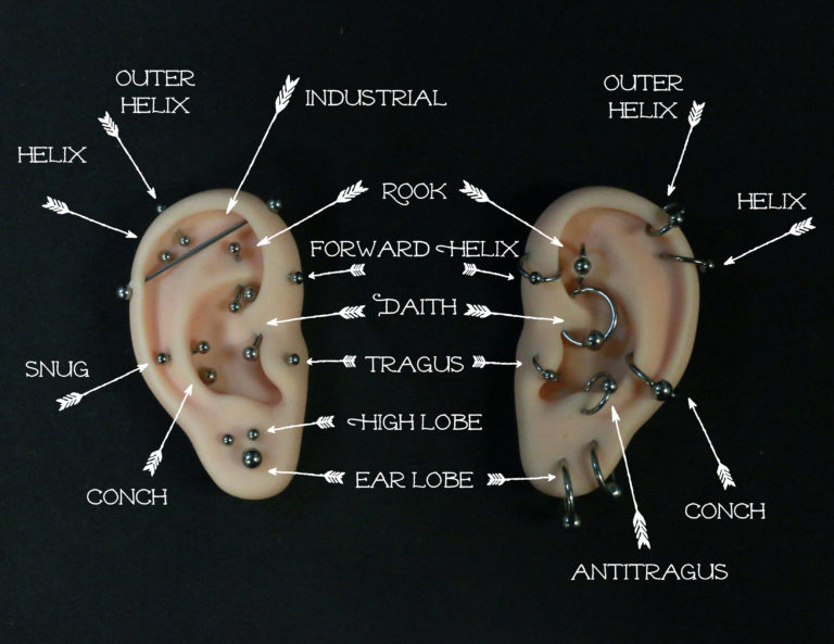 Piercing Dictionary the Creation Station Tattoo Studio LLC